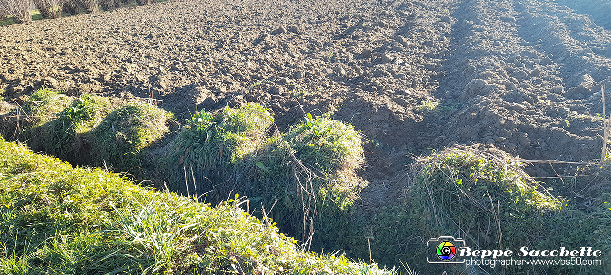 20230110_145716 - Dalla terra... il grano.jpg